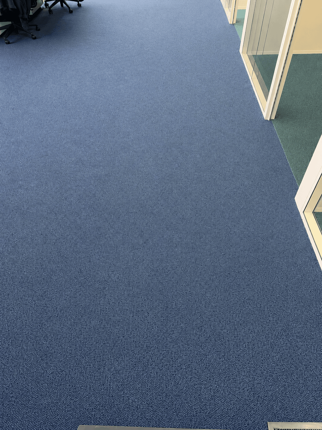 Moquette bleue d’un couloir de bureaux uniforme après nettoyage JB Service